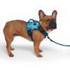 Complete Control Blue Marble Dog Harness | Collars, Leashes & Harnesses Collars, Leashes & Harnesses Collars, Leashes & Harnesses