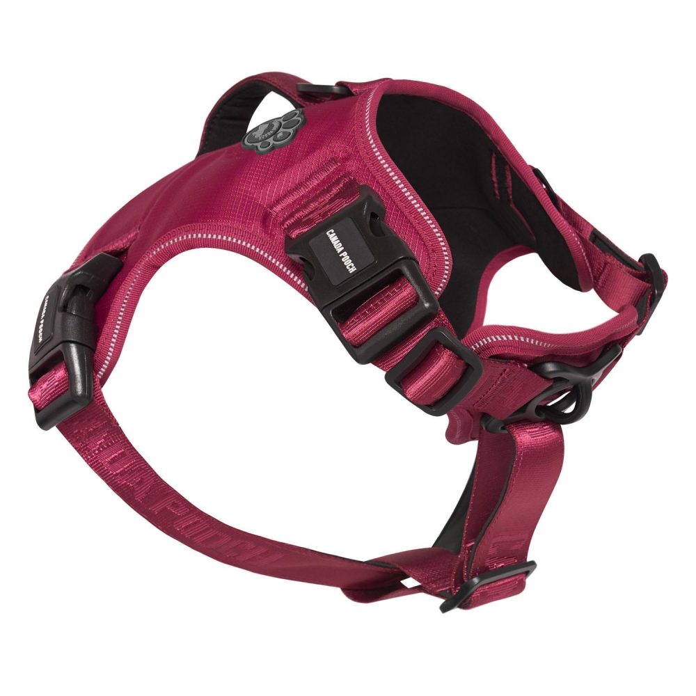 Complete Control Plum Dog Harness | Collars, Leashes & Harnesses Collars, Leashes & Harnesses Collars, Leashes & Harnesses