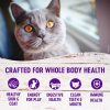 Complete Health Indoor Deboned Chicken & Chicken Meal Recipe Adult Cat Food | Dry Food Cat Cat