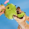 Consuela the Cactus Dog Toy | Toys Dog Dog