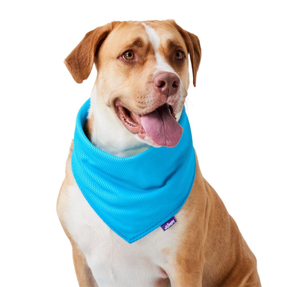 Cooling Blue Bandana | Clothing & Accessories Clothing & Accessories Clothing & Accessories