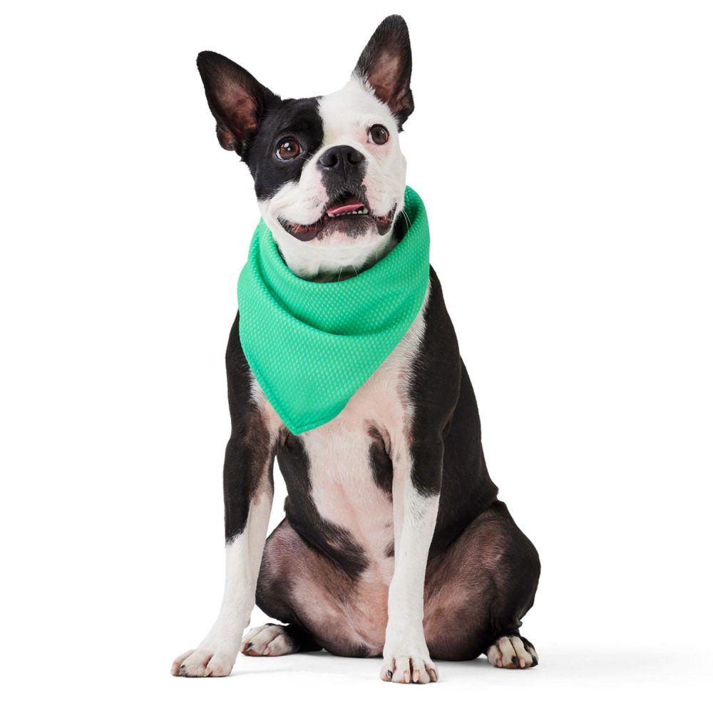 Cooling Green Bandana | Clothing & Accessories Dog Clothing & Accessories