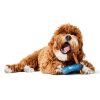 Cooling Ring Dog Toy | Toys Dog Dog