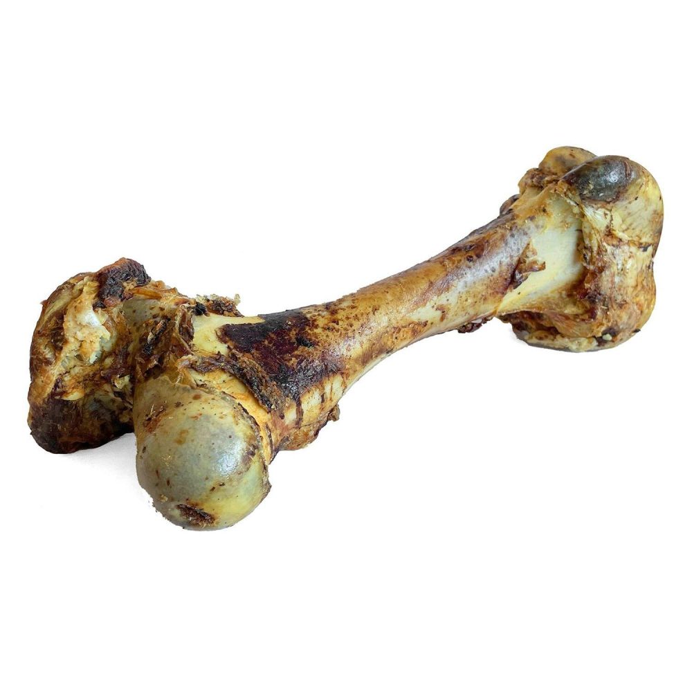 Cured Dino Bone | Bones & Chews Bones & Chews Bones & Chews