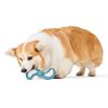 Dental Semi Ball Disk Dog Toy | Toys Dog Dog