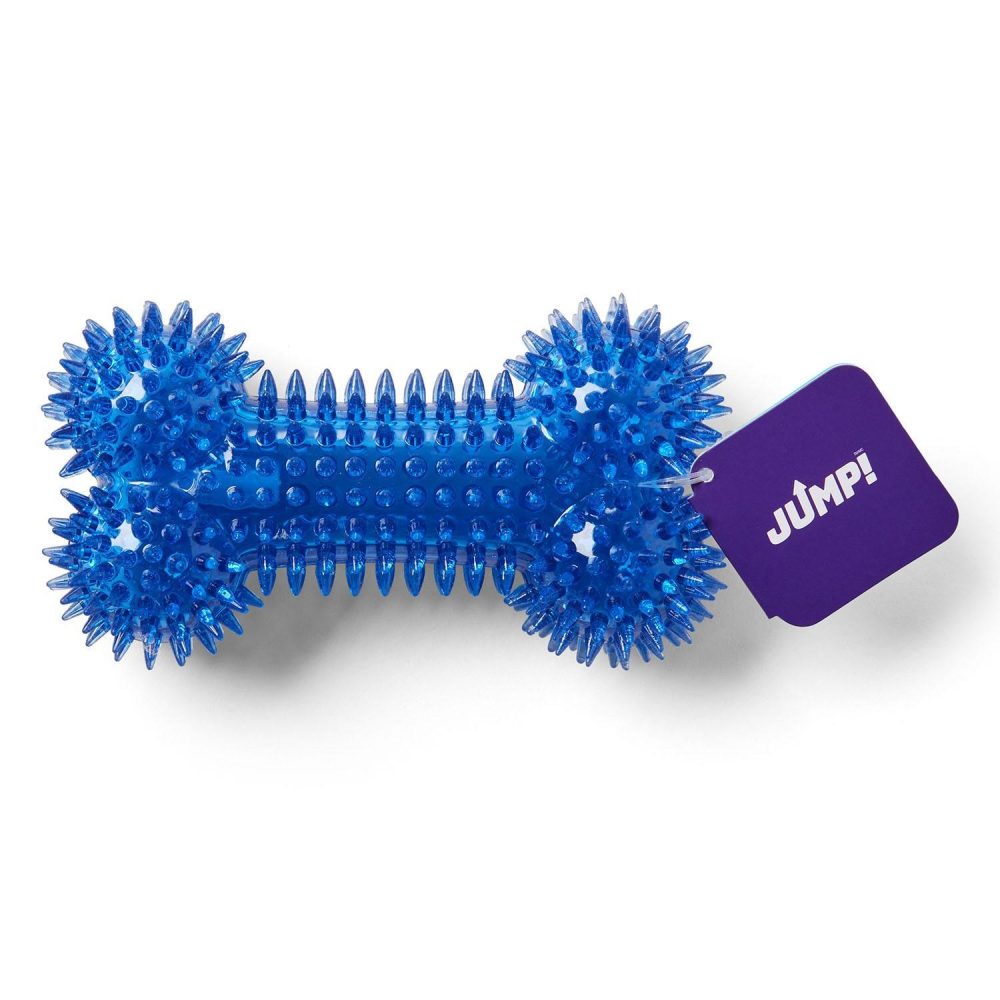 Dental Squeaker Bone Blue Dog Toy | Toys Dog Dog