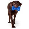 Dental Squeaker Bone Blue Dog Toy | Toys Dog Dog