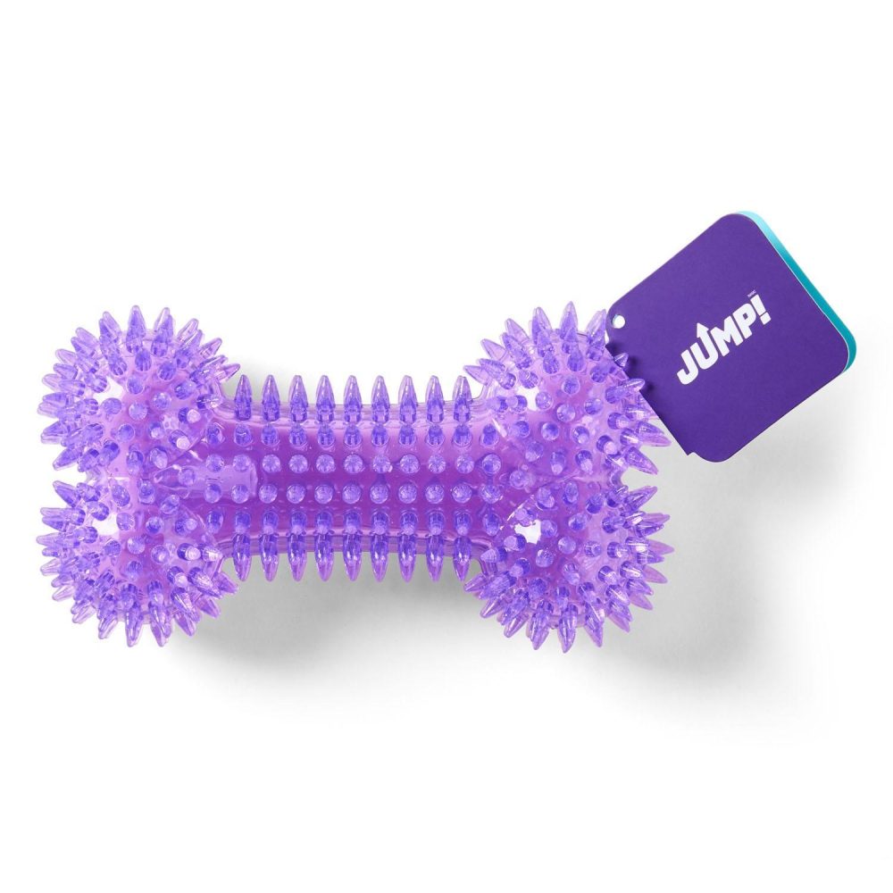 Dental Squeaker Bone Purple Dog Toy | Toys Dog Dog