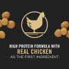 Development Chicken & Rice Formula Large Breed Puppy Dog Food | Dry Food Dog Dog