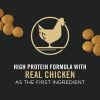 Development Chicken & Rice Formula Puppy Dog Food | Dry Food Dog Dog