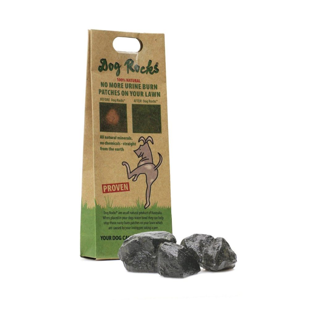 Dog Rocks | Health & Wellness Dog Dog