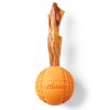 Fetch Ball Dog Toy | Toys Dog Dog