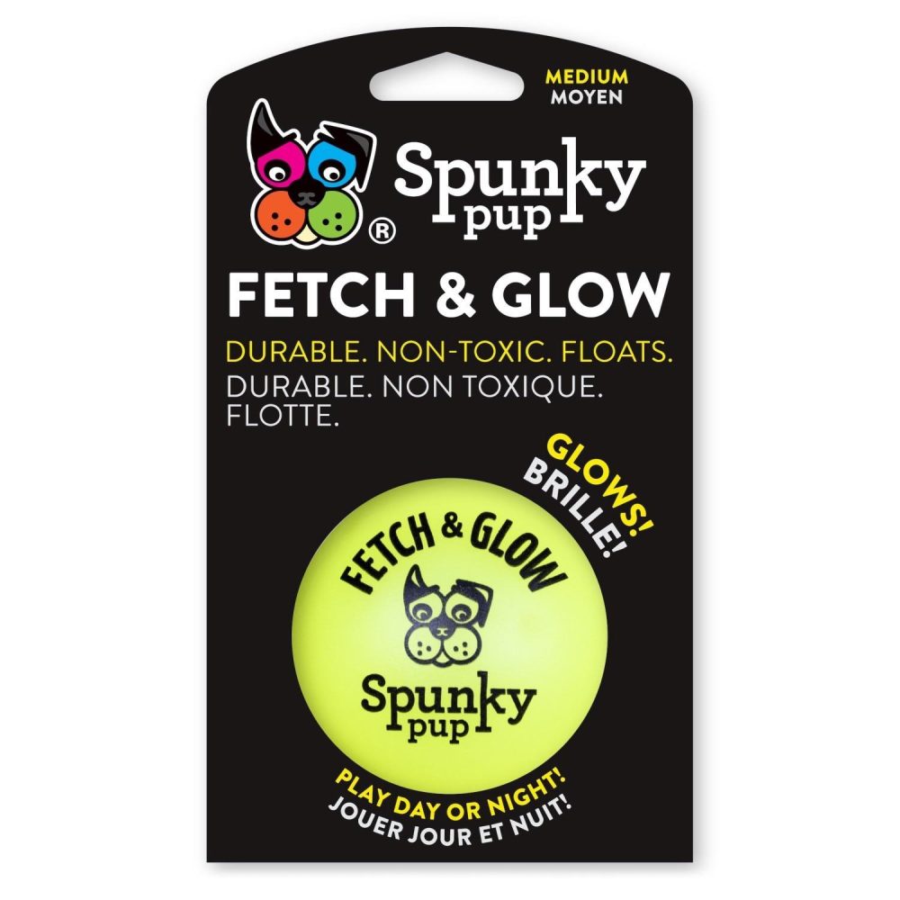 Fetch & Glow Ball Medium | Toys Dog Dog