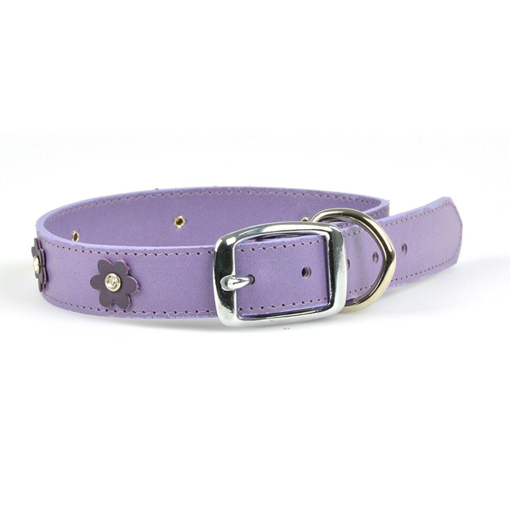 Flower Collar Lavender | Collars, Leashes & Harnesses Collars, Leashes & Harnesses Collars, Leashes & Harnesses