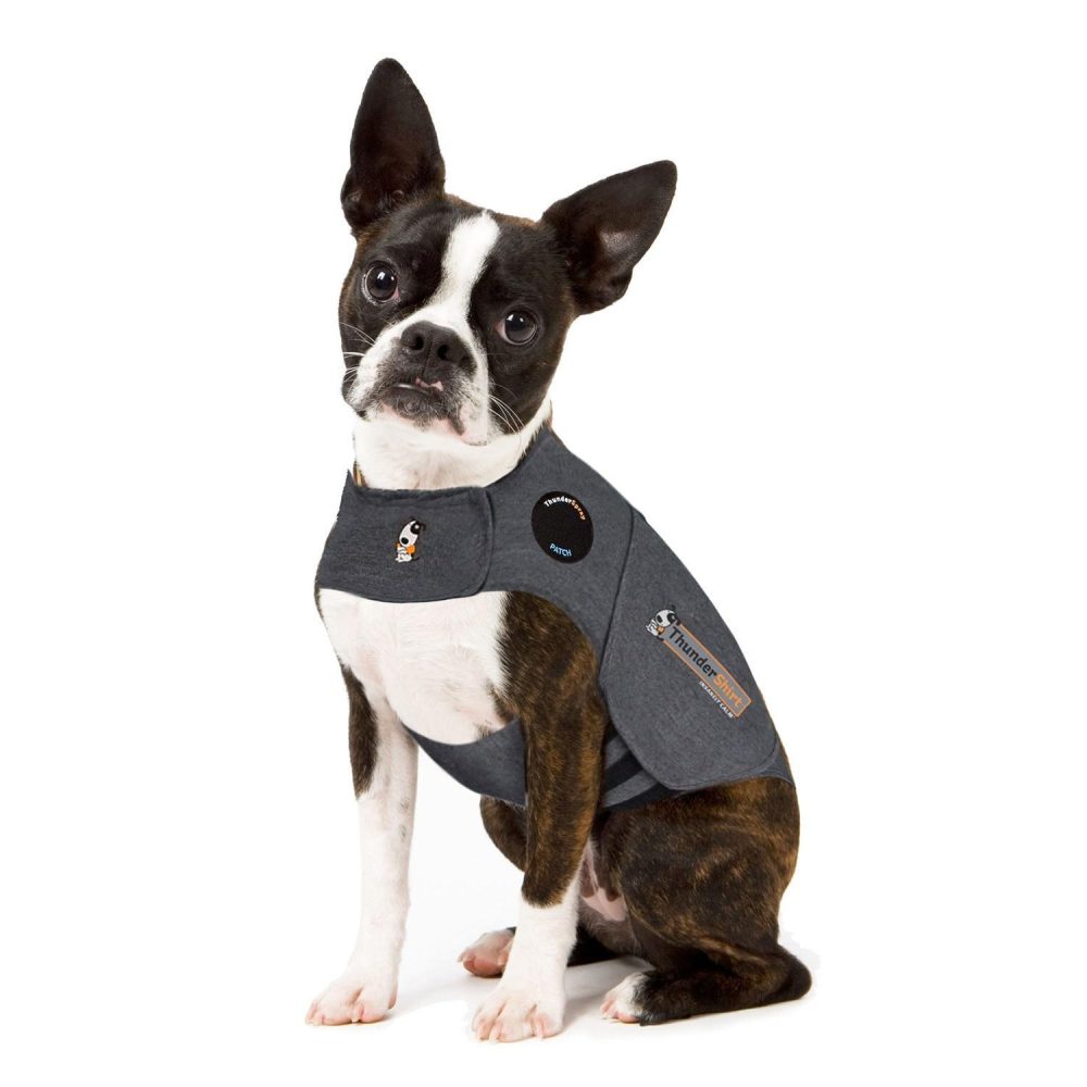 For Dogs Heather Grey | Health & Wellness Carriers & Travel Accessories Carriers & Travel Accessories