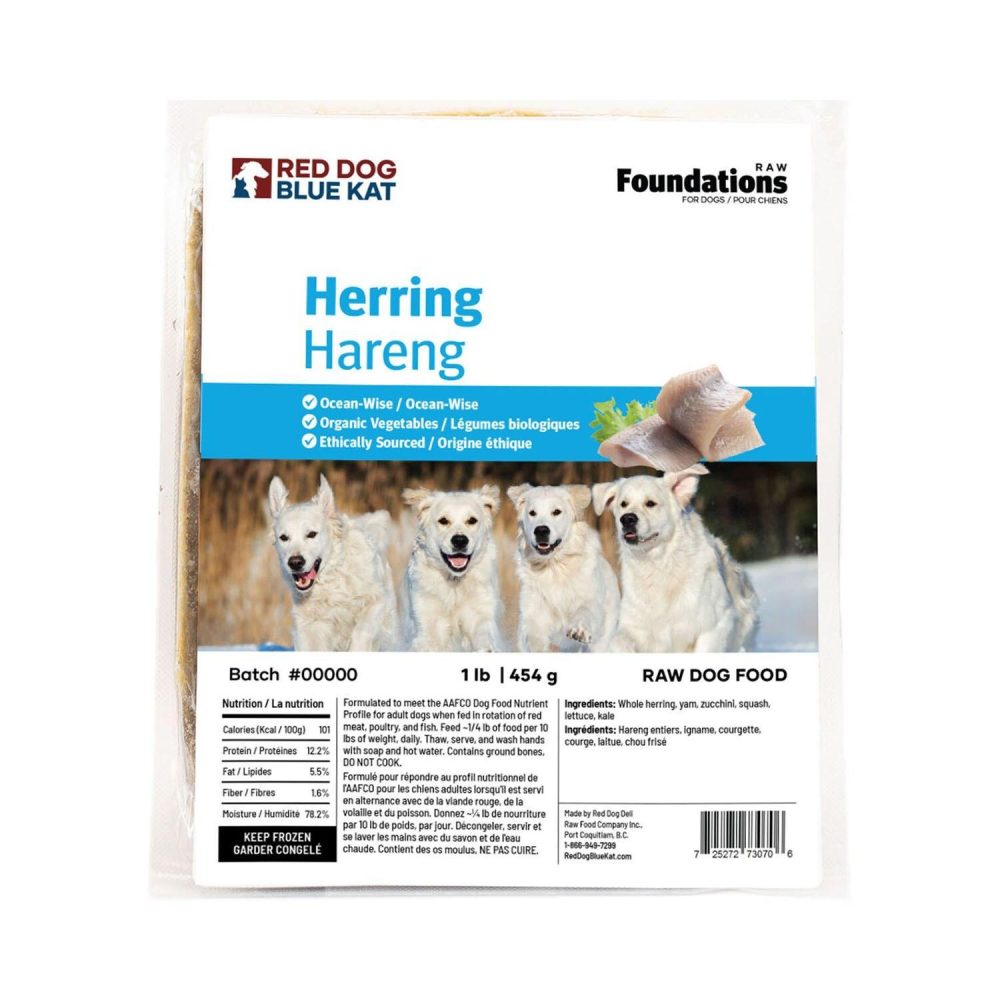 Foundations Herring Adult Dog Food | Raw Food Dog Dog