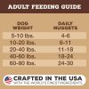 Freeze-Dried Nuggets Lamb Formula Dog Food | Broths & Food Toppers Broths & Food Toppers Broths & Food Toppers