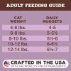 Freeze-Dried Nuggets Turkey Formula Cat Food | Broths & Food Toppers Broths & Food Toppers Broths & Food Toppers