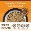 Freeze-Dried Raw Pronto Beef Recipe Adult Dog Food | Freeze Dried Food Dog Dog