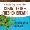 Fresh Kisses Double-Brush Real Mint Medium Breed Dog Treats | Dental Chews & Treats Dental Chews & Treats Dental Chews & Treats