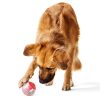 Giggler Treat Dispensing Ball Dog Toy | Toys Dog Dog