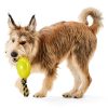 Glow Ball with Rope Dog Toy | Toys Dog Dog