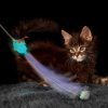 Glow Firefly Teaser Cat Toy | Toys Cat Cat