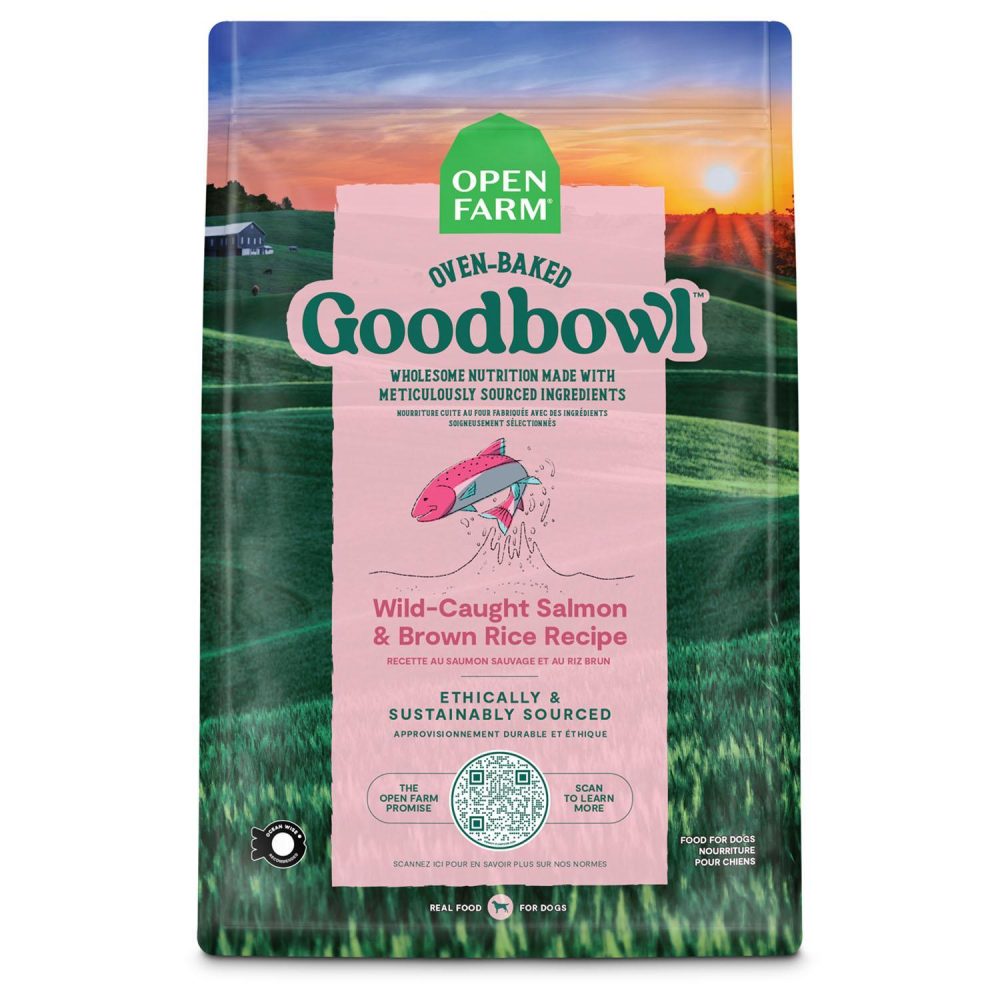 GoodBowl Wild-Caught Salmon & Brown Rice Recipe Adult Dog Food | Dry Food Dog Dog