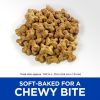 Grain Free Soft-Baked Naturals with Duck & Pumpkin Dog Treats | Soft & Chewy Treats Dog Dog