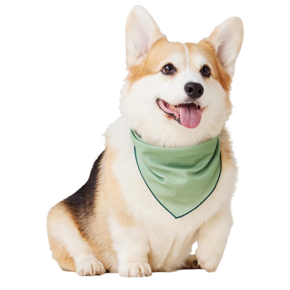 Green Cooling Bandana | Clothing & Accessories Clothing & Accessories Clothing & Accessories