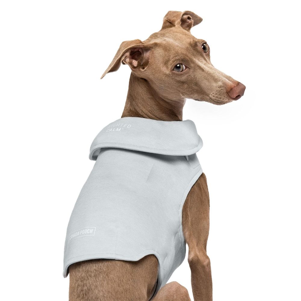 Grey Weighted Calming Vest | Carriers & Travel Accessories Carriers & Travel Accessories Carriers & Travel Accessories