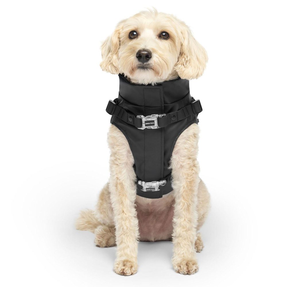 Harness Black Raincoat | Clothing & Accessories Clothing & Accessories Clothing & Accessories