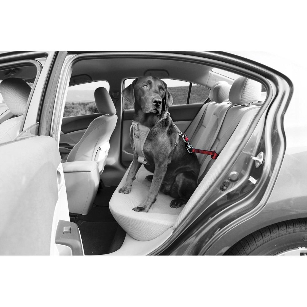 Heavy Duty Swivel Seatbelt Tether for Dogs | Carriers & Travel Accessories Carriers & Travel Accessories Carriers & Travel Accessories