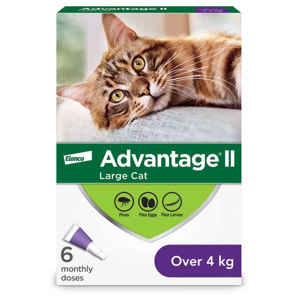 II for Large Cats | Flea & Tick Cat Cat