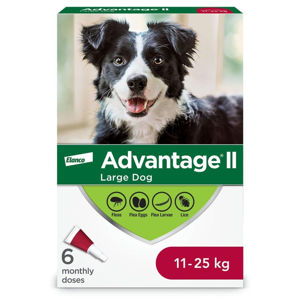 II for Large Dogs | Flea & Tick Dog Dog