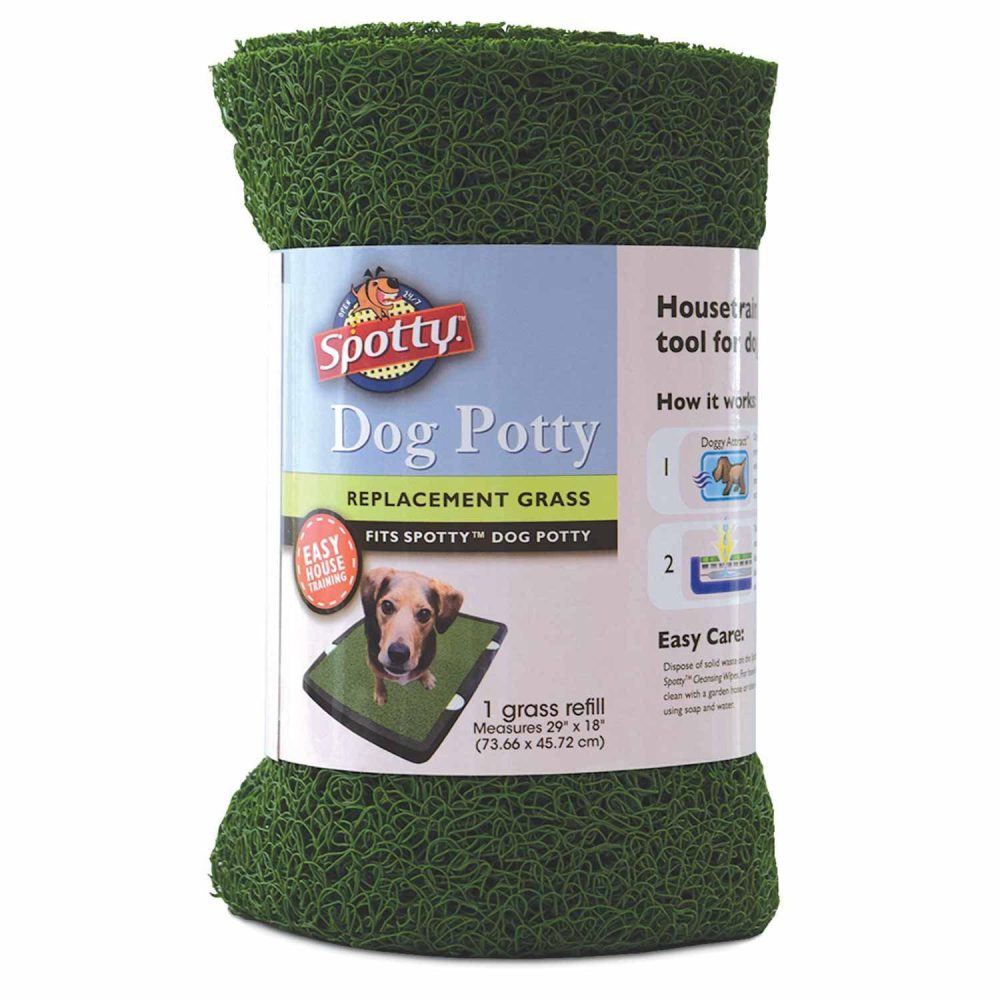 Indoor Dog Potty Replacement Grass | Training & Behaviour Dog Dog