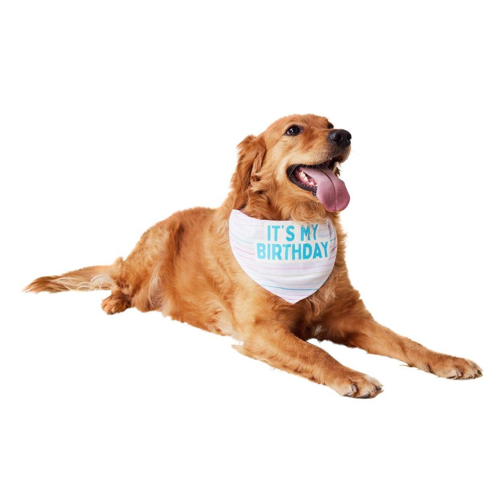 It’s My Birthday Bandana | Clothing & Accessories Clothing & Accessories Clothing & Accessories