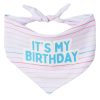 It’s My Birthday Bandana | Clothing & Accessories Clothing & Accessories Clothing & Accessories