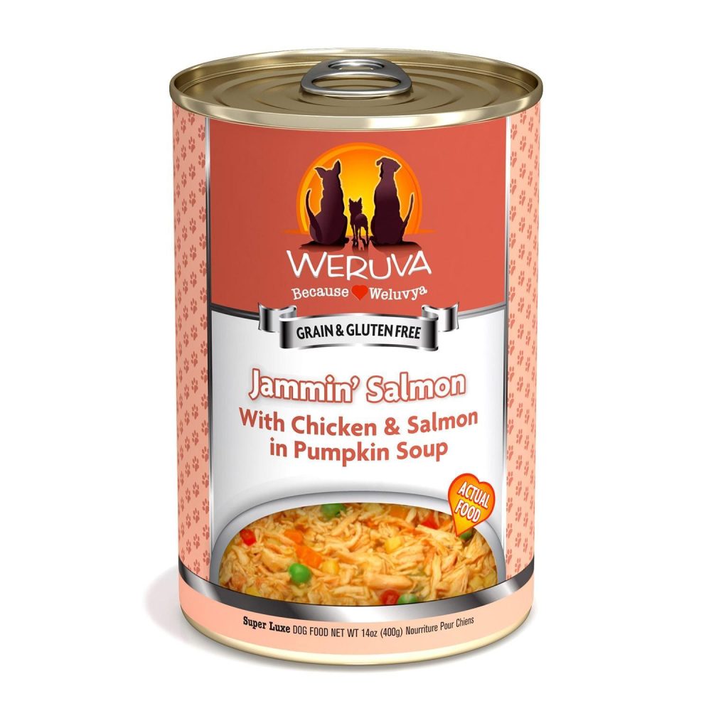 Jammin’ Salmon with Chicken & Salmon in Pumpkin Soup Dog Food / 14 oz – 12 pk | Wet Food Dog Dog