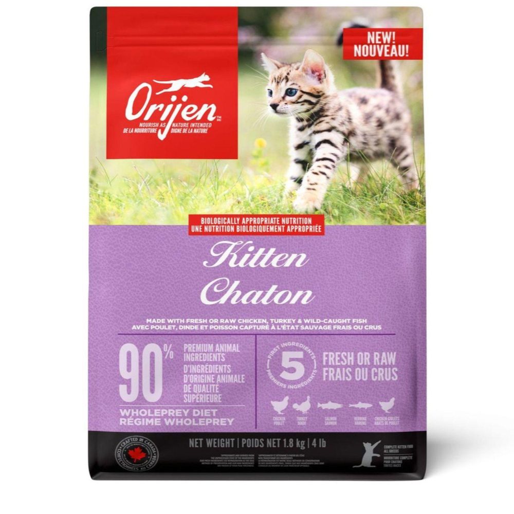 Kitten Cat Food | Dry Food Cat Cat