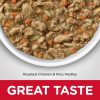 Kitten Healthy Cuisine Roasted Chicken & Rice Medley / 2.8 oz – 24 pk | Wet Food Cat Cat