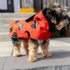 Ladybug Red Raincoat | Clothing & Accessories Clothing & Accessories Clothing & Accessories