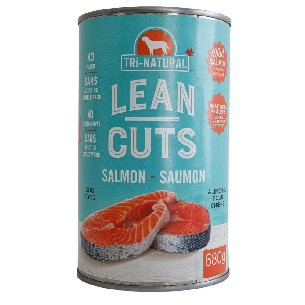 Lean Cuts Salmon Dog Food | Wet Food Dog Dog