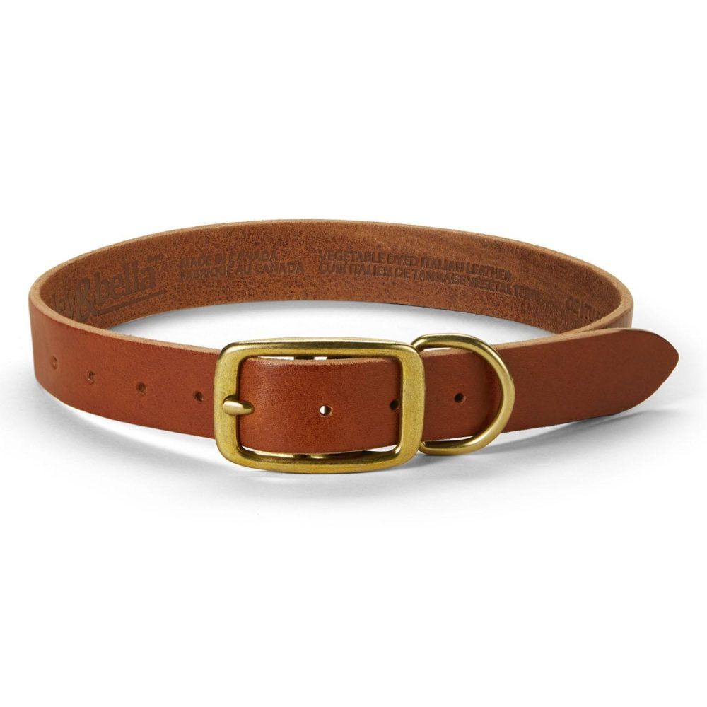 Leather Cognac Dog Collar | Collars, Leashes & Harnesses Collars, Leashes & Harnesses Collars, Leashes & Harnesses