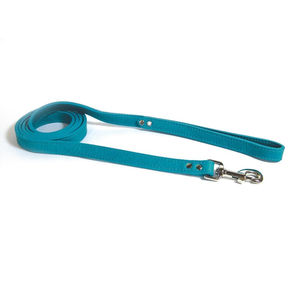 Luxe Leashes 1/2in Turquoise | Collars, Leashes & Harnesses Collars, Leashes & Harnesses Collars, Leashes & Harnesses