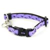 Martingale Purple Flamingo Dog Collar | Training & Behaviour Collars, Leashes & Harnesses Collars, Leashes & Harnesses