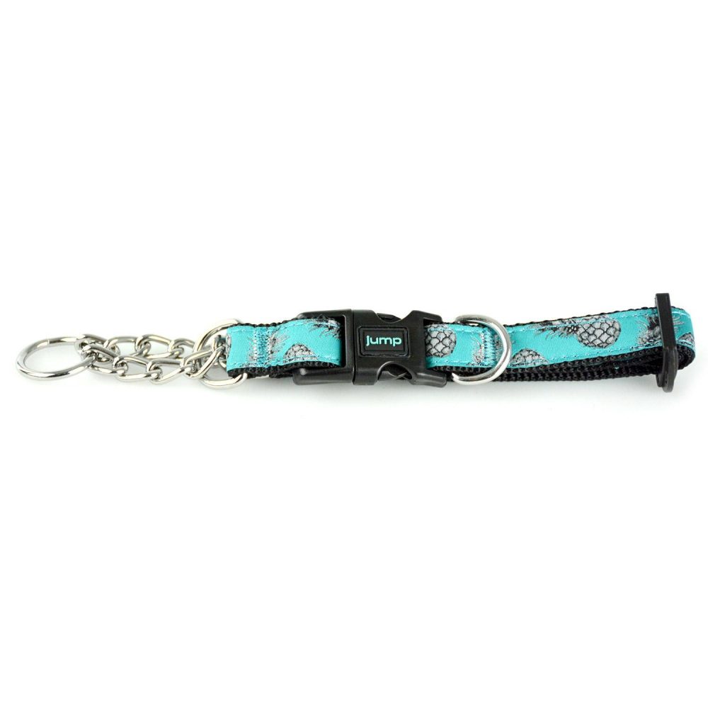 Martingale Teal Pineapple Dog Collar | Training & Behaviour Collars, Leashes & Harnesses Collars, Leashes & Harnesses