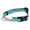 Martingale Teal Pineapple Dog Collar | Training & Behaviour Collars, Leashes & Harnesses Collars, Leashes & Harnesses