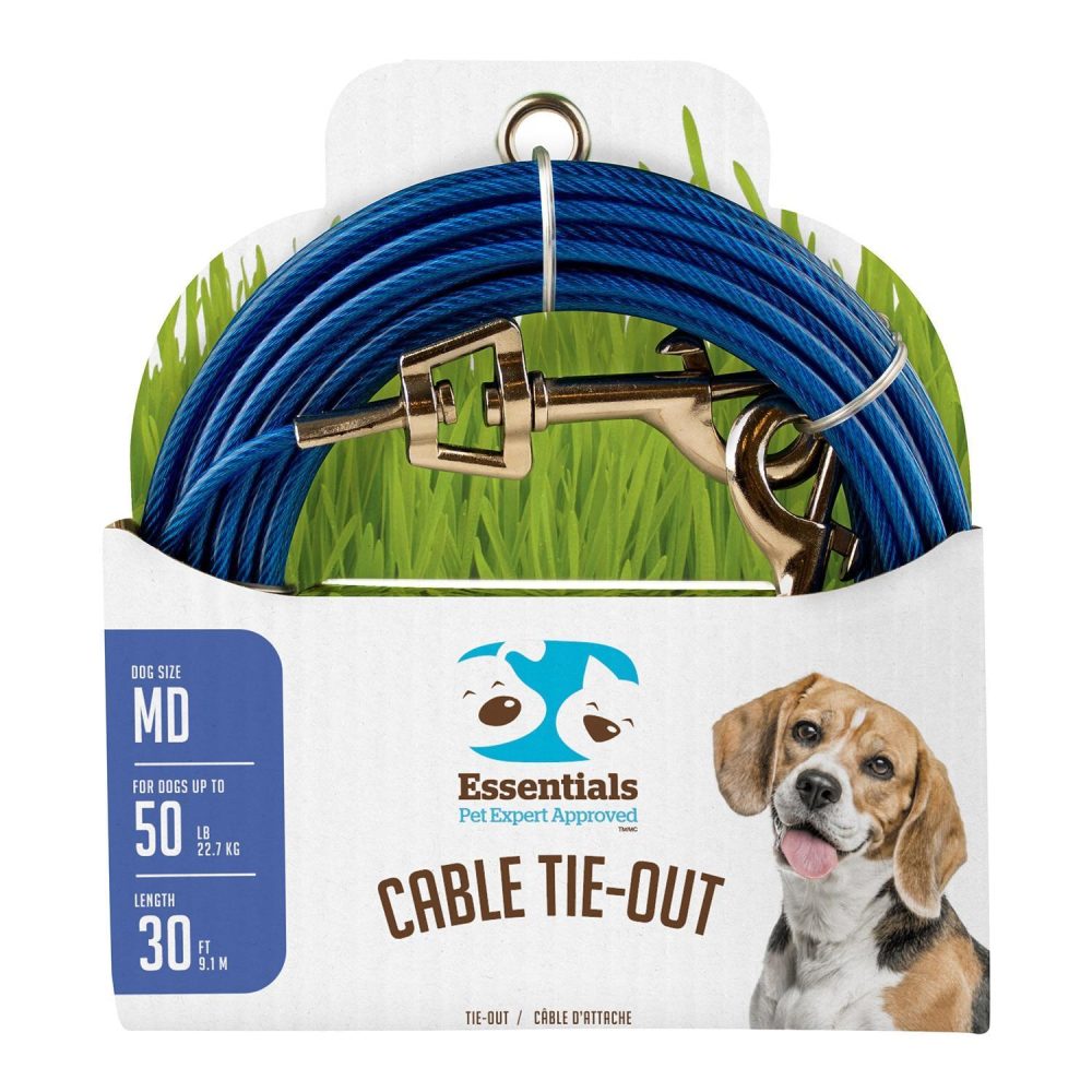 Medium Dog Blue Cable Tie-Out | Collars, Leashes & Harnesses Collars, Leashes & Harnesses Collars, Leashes & Harnesses