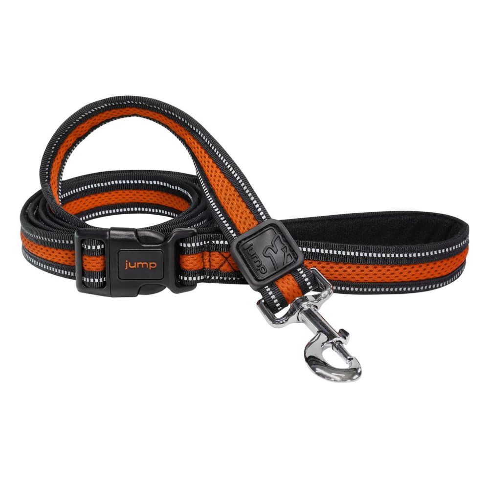 Mesh 1in Orange Dog Leash | Collars, Leashes & Harnesses Collars, Leashes & Harnesses Collars, Leashes & Harnesses